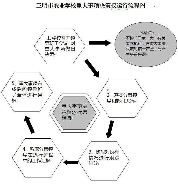 爱游戏最新网站|中国有限公司官网重大事项决策权运行流程图.JPG
